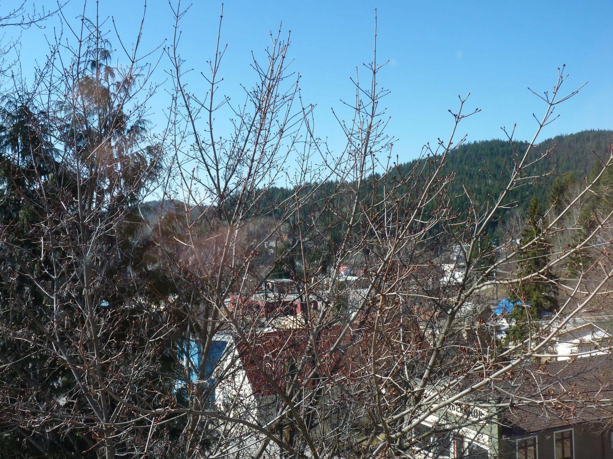 The Flying Steamshovel Inn Rossland Esterno foto